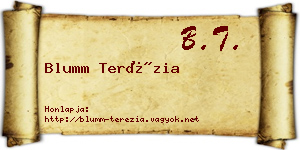 Blumm Terézia névjegykártya